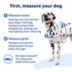 PetSafe® Easy Walk Dog Harness, No Pull Dog Harness, Multiple Sizes & Colors image thumbnail 4