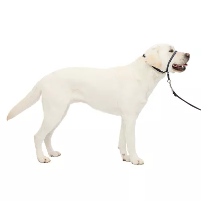 PetSafe® Gentle Leader Nylon Dog Headcollar - Image 1