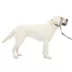 PetSafe® Gentle Leader Nylon Dog Headcollar image thumbnail 1
