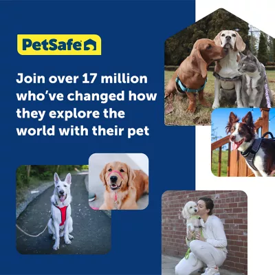PetSafe® Gentle Leader Nylon Dog Headcollar - Image 6