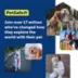 PetSafe® Gentle Leader Nylon Dog Headcollar image thumbnail 6
