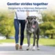 Product PetSafe® Gentle Leader Nylon Dog Headcollar