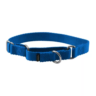PetSafe® Martingale 3/4" Nylon Dog Collar - Image 1