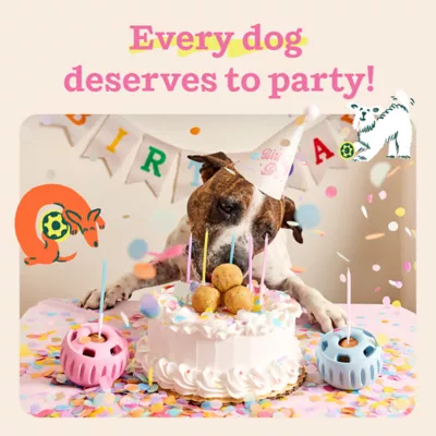 Product Woof Birthday Pupsicle Treat Dispensing Dog Toy