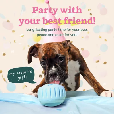 Product Woof Birthday Pupsicle Treat Dispensing Dog Toy