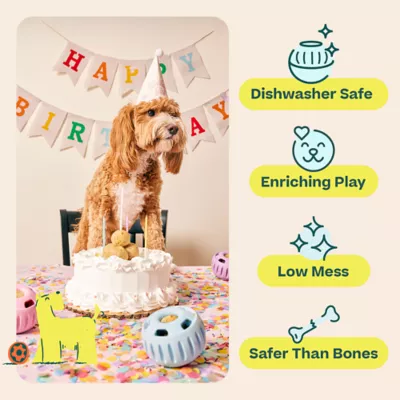 Product Woof Birthday Pupsicle Treat Dispensing Dog Toy