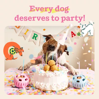 Product WOOF Birthday Pupsicle Pops