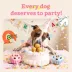 WOOF Birthday Pupsicle Pops image thumbnail 7