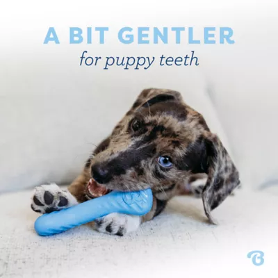 Product Benebone Puppy 2-Pack