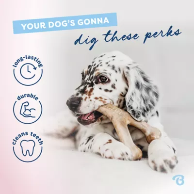 Product Benebone Puppy 2-Pack
