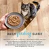 Reveal Cat - Adult, Wet Food, Entrees, Pate, 2.47 OZ image thumbnail 4
