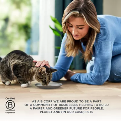 Product Reveal Cat - Adult, Wet Food, Entrees, Pate, 2.47 OZ