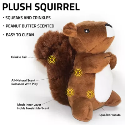 Product Playology Squirrel Peanut Butter Scent Plush Dog Toy