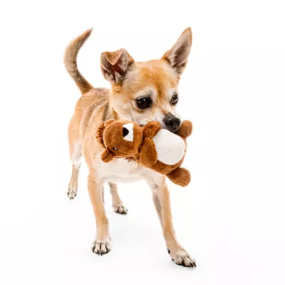 Product Playology Squirrel Peanut Butter Scent Plush Dog Toy