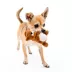 Playology Squirrel Peanut Butter Scent Plush Dog Toy image thumbnail 3