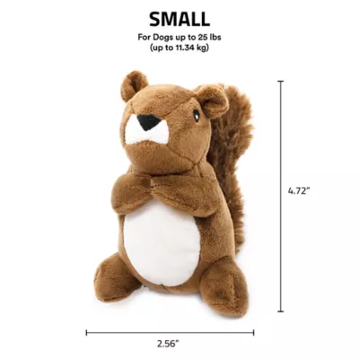Product Playology Squirrel Peanut Butter Scent Plush Dog Toy