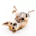 Playology Racoon Sweet Potato Scent Squeaker Plush Dog Toy image thumbnail 3