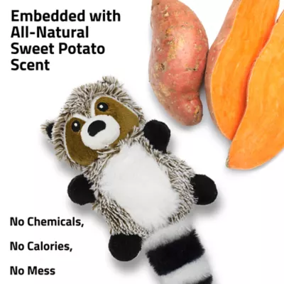 Product Playology Racoon Sweet Potato Scent Squeaker Plush Dog Toy