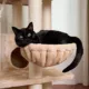 Product Armarkat Royal Perch Cat Mansion Tree