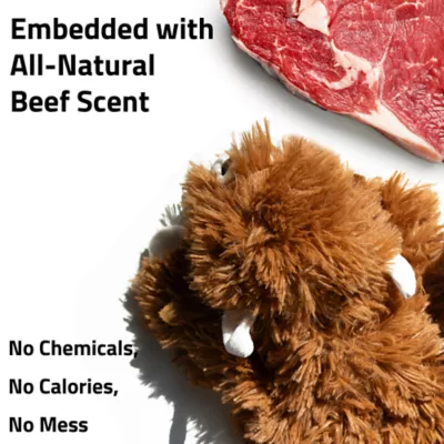 Product Playology Highland Cow Beef Scent Squeaker Plush Dog Toy