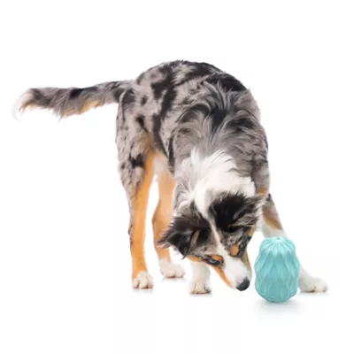 Product Playology Squeaker Pinecone Peanut Butter Scent Chew Dog Toy
