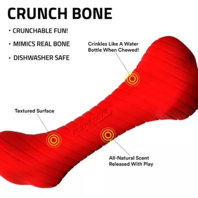 Product Playology Crunch Bone Dog Toy