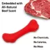 Playology Crunch Bone Dog Toy image thumbnail 4