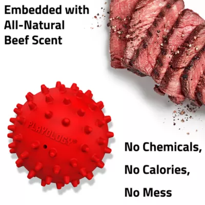 Product Playology Spiky Squeaky Beef Scent Ball Dog Toy