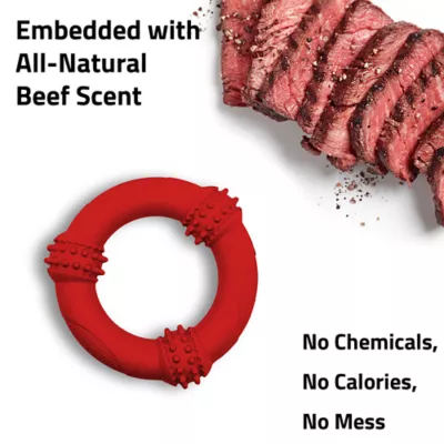 Product Playology Teething Ring Beef Scent Chew Dog Toy