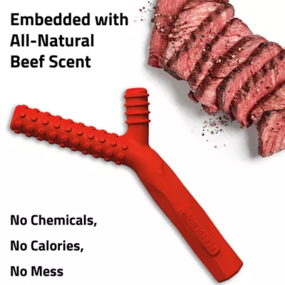 Product Playology Fetch Stick Beef Scent Chew Dog Toy