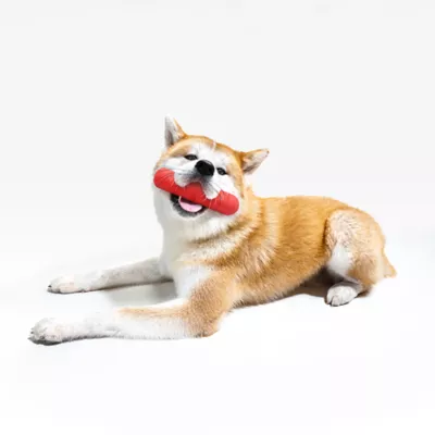 Product Playology Bumper Beef Scent Squeaker Chew Dog Toy