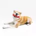 Playology Bumper Beef Scent Squeaker Chew Dog Toy image thumbnail 3