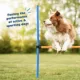 Product Bil-Jac 30/20 Performance All Life Stages Dry Dog Food - Chicken