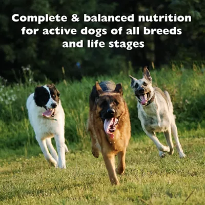 Product Bil-Jac 30/20 Performance All Life Stages Dry Dog Food - Chicken