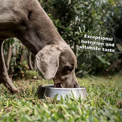 Product Bil-Jac 30/20 Performance All Life Stages Dry Dog Food - Chicken