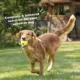 Product Bil-Jac Sensitive Solutions Skin & Stomach Support Adult Wet Dog Food - Chicken & Sweet Potato
