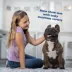 Bil-Jac Sensitive Solutions Skin & Stomach Support Adult Wet Dog Food - Chicken & Sweet Potato image thumbnail 6