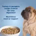 Bil-Jac Sensitive Solutions Digestive & Immune Support Adult Wet Dog Food - Turkey & Pumpkin image thumbnail 3
