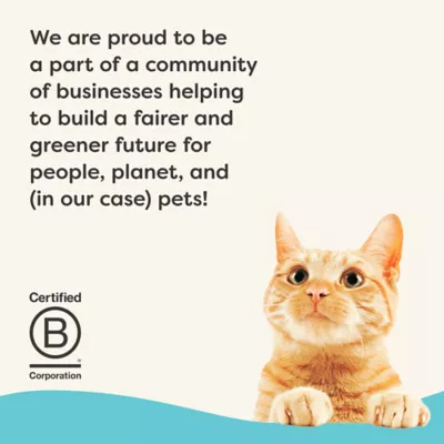 Applaws Vitality Adult Cat Wet Food - Pate, 2.47 Oz - Image 6