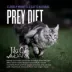 Tiki Cat - Adult, Wet Food, After Dark, Shreds, 3 OZ image thumbnail 6