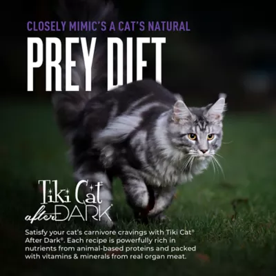 Product Tiki Cat - Adult, Wet Food, After Dark, Shreds, Variety Pack, 12 CT, 36 OZ