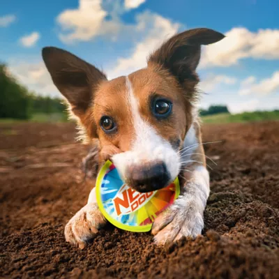 Product Nerf Color Grip Squeaker Ball Dog Toy