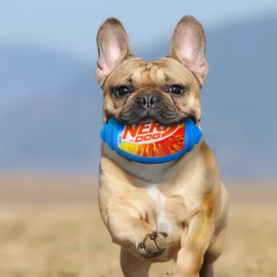 Product Nerf Color Grip Squeaker Football Dog Toy