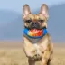 Nerf Color Blast Squeaker Football Dog Toy image thumbnail 2