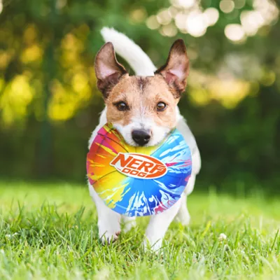 Product Nerf Color Grip 9" Disc Dog Toy