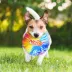 Nerf Color Blast 9" Disc Dog Toy image thumbnail 2