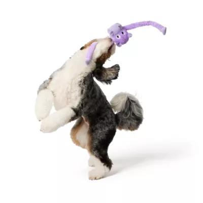 Product  Joyhound Crazy Comfy Hippo Squeaker Tug Dog Toy