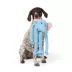Joyhound® Crazy Comfy Elephant Squeaker Plush Tug Dog Toy image thumbnail 3