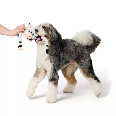 Product Joyhound Crazy Comfy Cow Squeaker Tug Plush Dog Toy