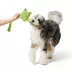 Joyhound® Crazy Comfy Frog Tug Squeaker Plush Dog toy image thumbnail 3